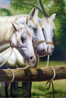 Tre heste