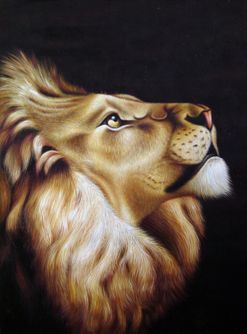 Portræt af løve