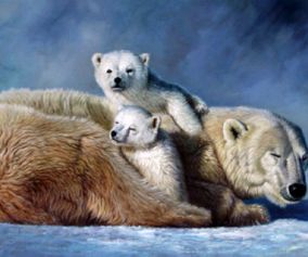 Isbjørn med to unger