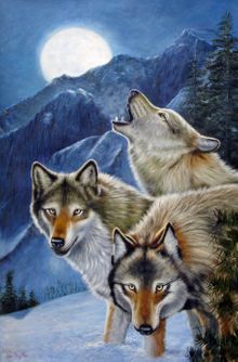 Tre ulve